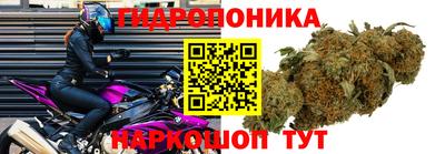 mdma Заволжье