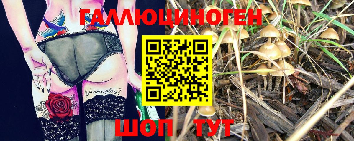 Псилоцибиновые грибы мицелий  Вход с VPN  Искитим 