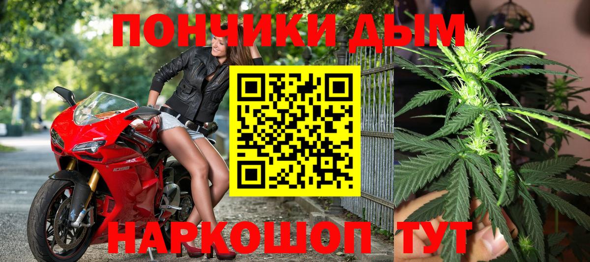 Конопля ГИДРОПОН  Вход с VPN  Бошки Шишки сатива  Искитим 